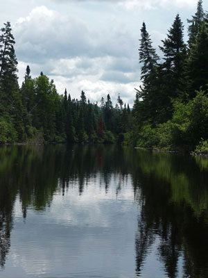 Photo: Moose River