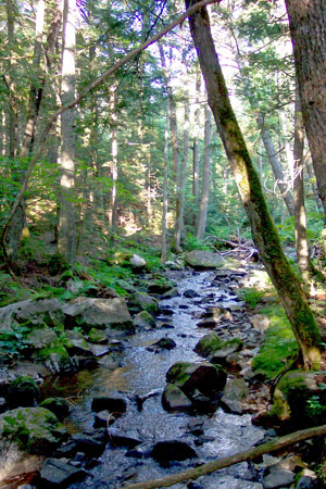 Photo: Fifth Debsconeag Stream at Nahmakanta Ecoreserve