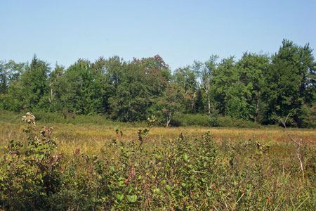 Photo: Rocky Lake Ecoreserve