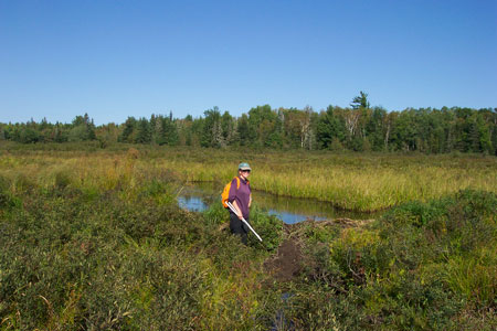 Photo: Ecologist working at Rocky Lake Ecoreserve