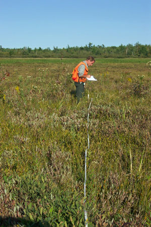 Photo: Ecologist working at Rocky Lake Ecoreserve