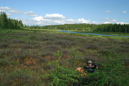 Photo: Ecologist working in Salmon Brook Lake Bog