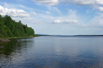 Maine Natural Heritage Program