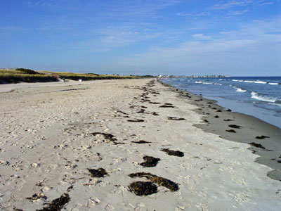 photograph of a beach strand