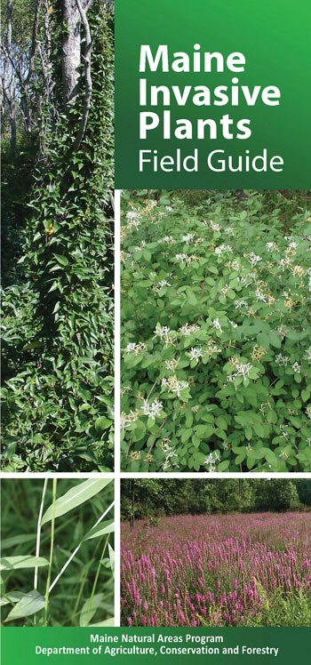 Photo showing the cover of the book Maine Invasive Plant Field Guide