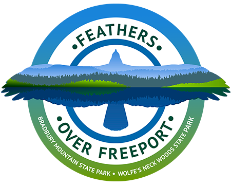Feathers Over Freeport logo