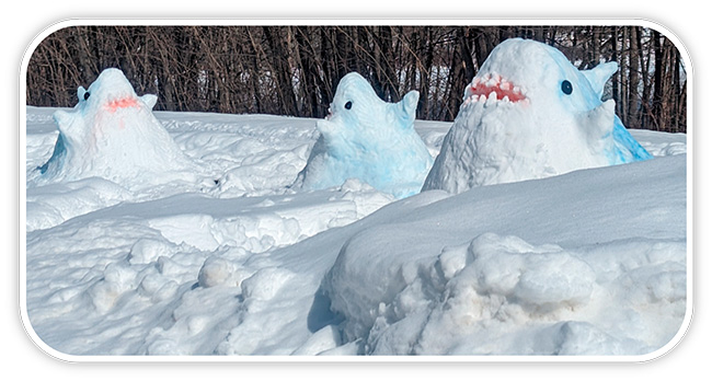 snow sculptures of sharks