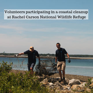 mcc volunteers at Rachel Carson Preserve's coastal cleanup.