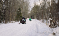 two snowmobiles on wooded trail