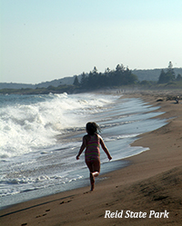 reid state park beach