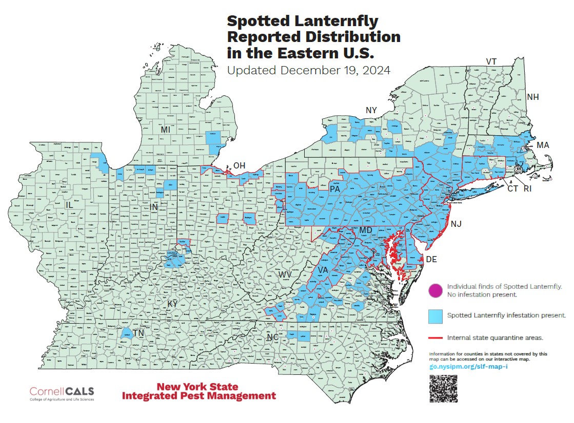 U.S. map of spotted lanternfly finds and established populations, NY State IPM