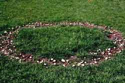 Examples of fairy ring symptoms