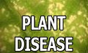plant disease button