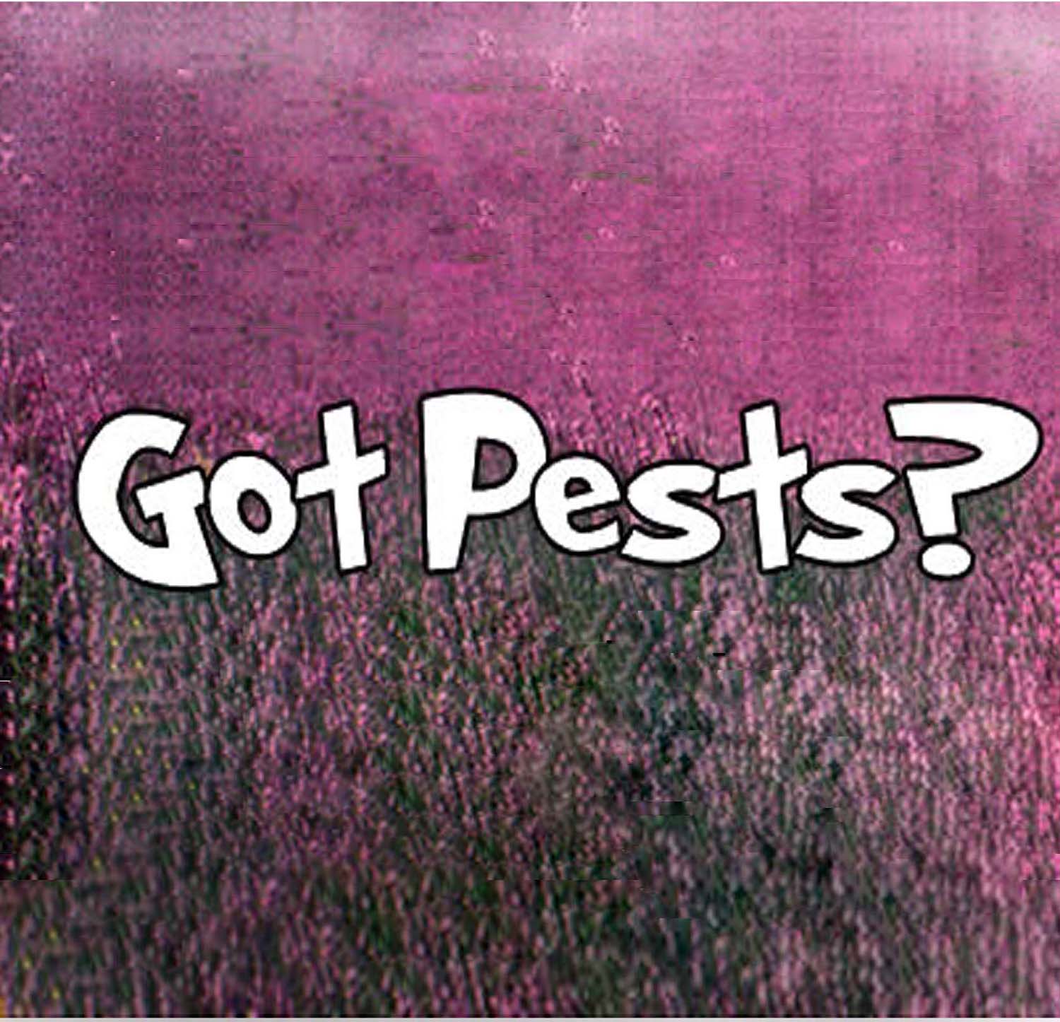 Got Pests?