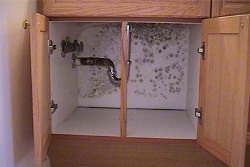 mold inside a bathroom cabinet