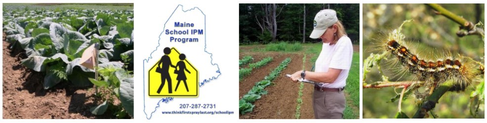 USDA Plant Hardiness Zone Map - Cooperative Extension: Garden and Yard -  University of Maine Cooperative Extension