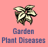 Garden Plant Diseases