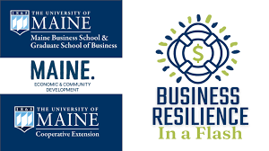 Financial Resiliency in a Flash logo.
