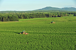 Aroostook County