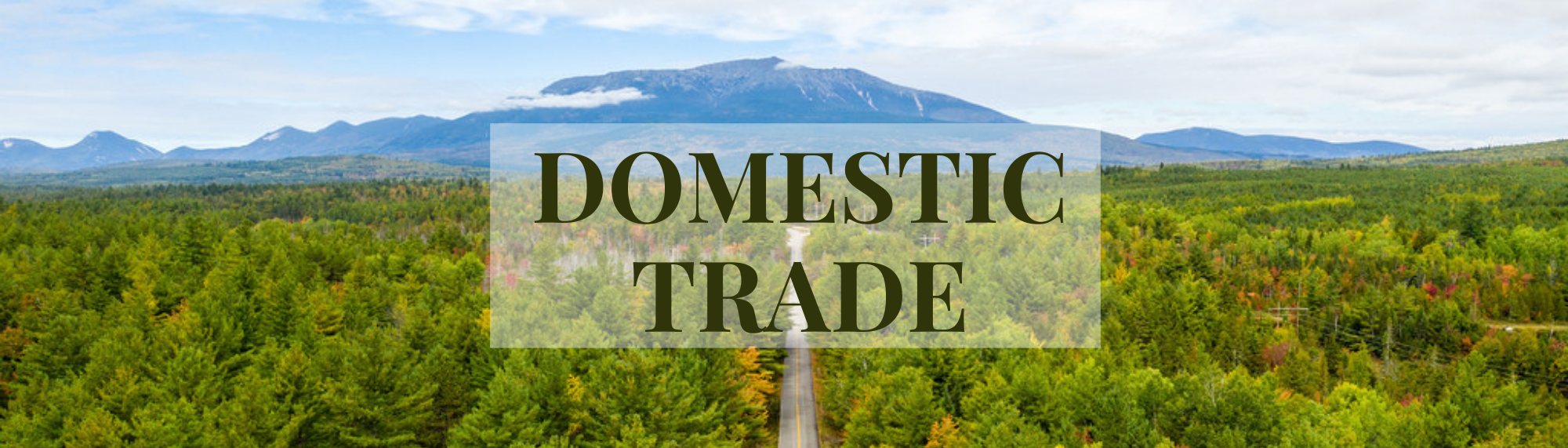 Domestic Trade Title