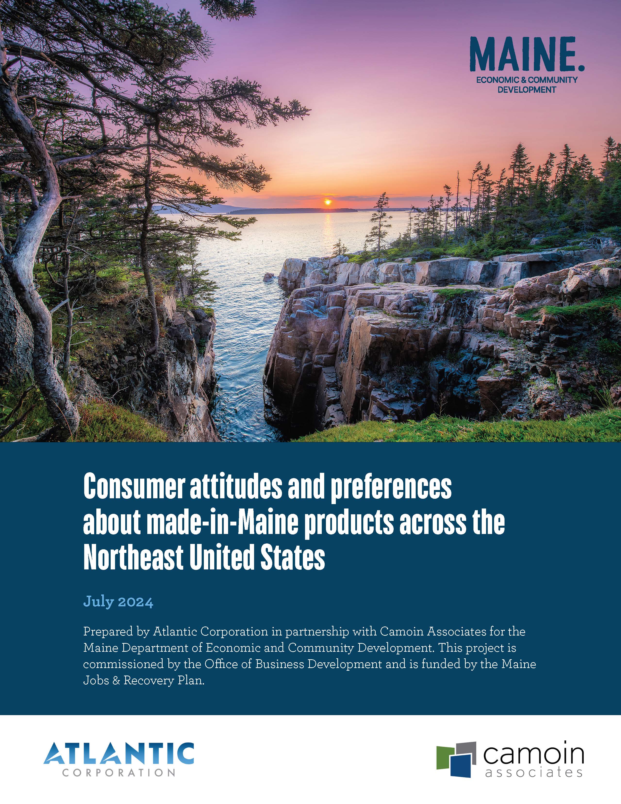 Maine DECD Survey Report cover