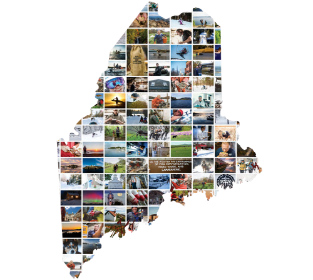Maine logo