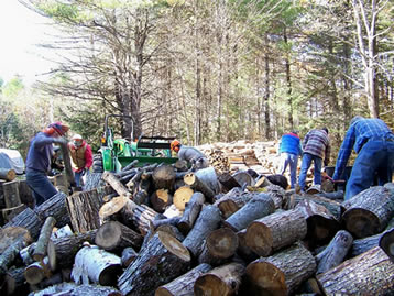 people cutting wood