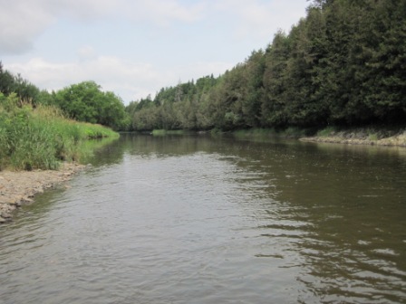 BIOMONITORING DOWNSTREAM WEB PHOTO