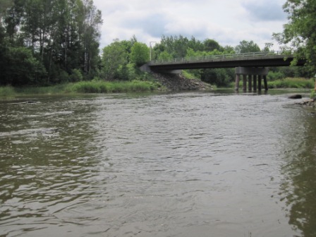 BIOMONITORING UPSTREAM WEB PHOTO