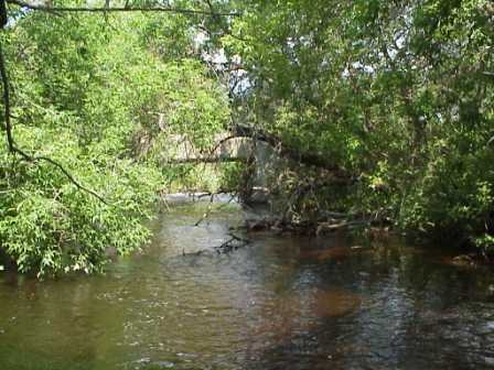 BIOMONITORING UPSTREAM WEB PHOTO
