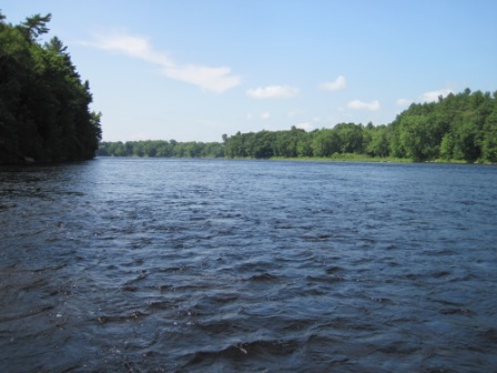 BIOMONITORING DOWNSTREAM WEB PHOTO