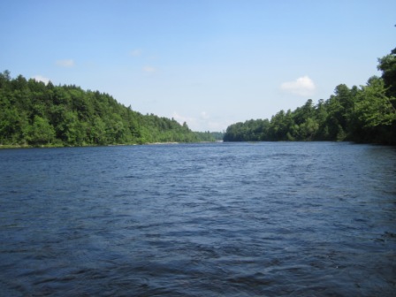 BIOMONITORING UPSTREAM WEB PHOTO