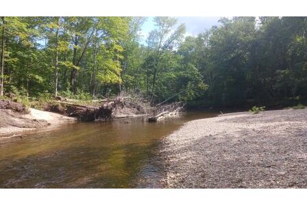 BIOMONITORING DOWNSTREAM WEB PHOTO
