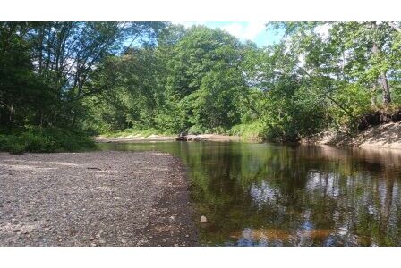 BIOMONITORING UPSTREAM WEB PHOTO