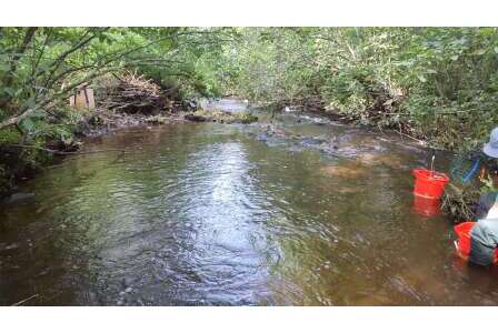 BIOMONITORING DOWNSTREAM WEB PHOTO