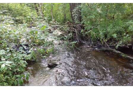 BIOMONITORING UPSTREAM WEB PHOTO