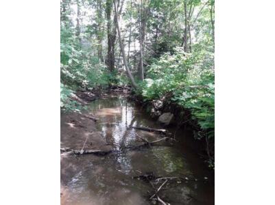 BIOMONITORING DOWNSTREAM WEB PHOTO