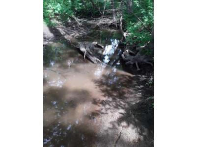 BIOMONITORING UPSTREAM WEB PHOTO