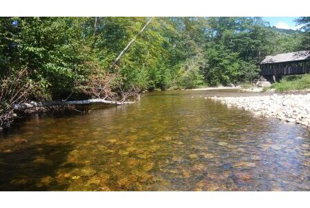 BIOMONITORING DOWNSTREAM WEB PHOTO