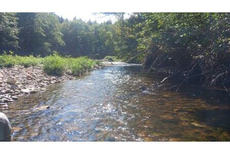 BIOMONITORING UPSTREAM WEB PHOTO