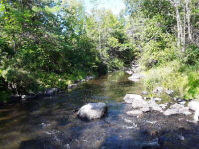 BIOMONITORING DOWNSTREAM WEB PHOTO