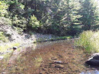 BIOMONITORING UPSTREAM WEB PHOTO