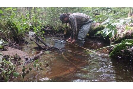 BIOMONITORING DOWNSTREAM WEB PHOTO