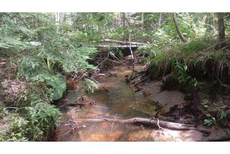 BIOMONITORING UPSTREAM WEB PHOTO
