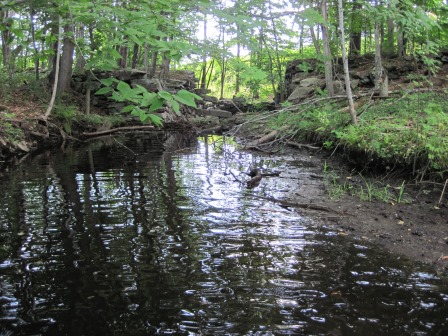 BIOMONITORING DOWNSTREAM WEB PHOTO