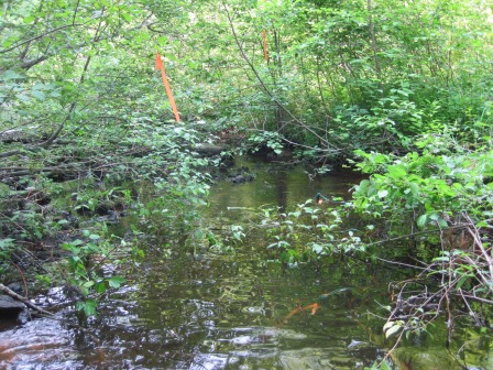 BIOMONITORING UPSTREAM WEB PHOTO