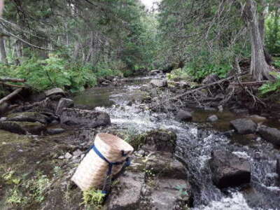 BIOMONITORING UPSTREAM WEB PHOTO