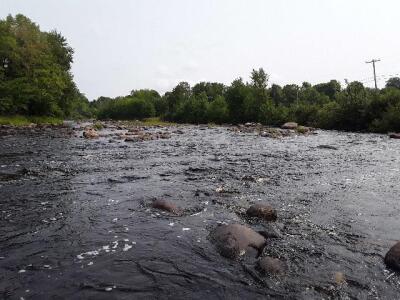 BIOMONITORING DOWNSTREAM WEB PHOTO