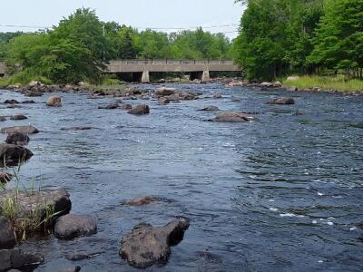 BIOMONITORING UPSTREAM WEB PHOTO