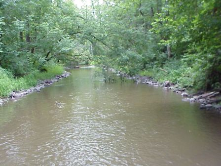 BIOMONITORING DOWNSTREAM WEB PHOTO